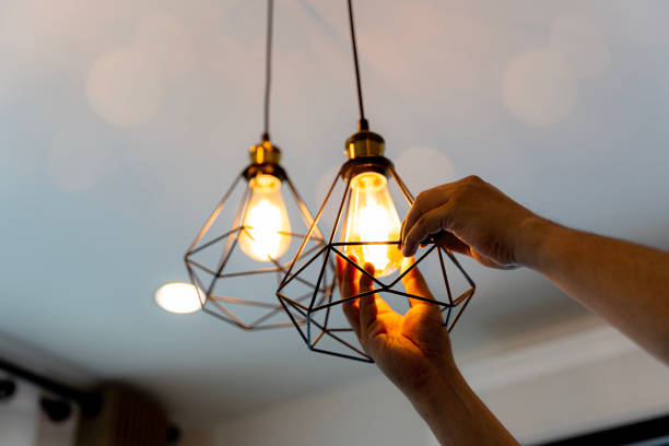 Best Electrical Contractors for Businesses  in Fox Lake, IL
